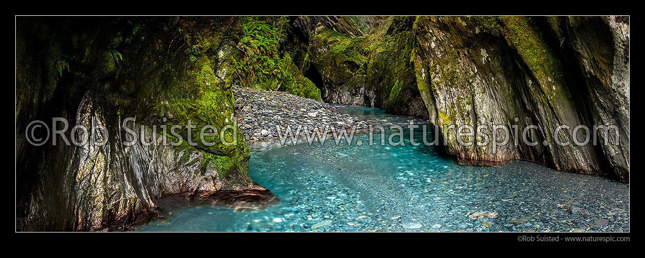 Image of Forest stream panorama, running through rocky gorge and lush wet beech tree rainforest, South Westland, Westland District, West Coast Region, New Zealand (NZ) stock photo image