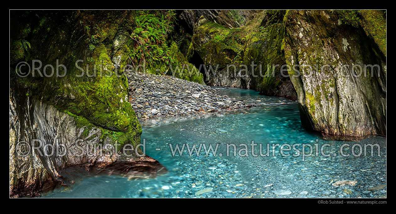 Image of Forest stream panorama, running through rocky gorge and lush wet beech tree rainforest wilderness, South Westland, Westland District, West Coast Region, New Zealand (NZ) stock photo image