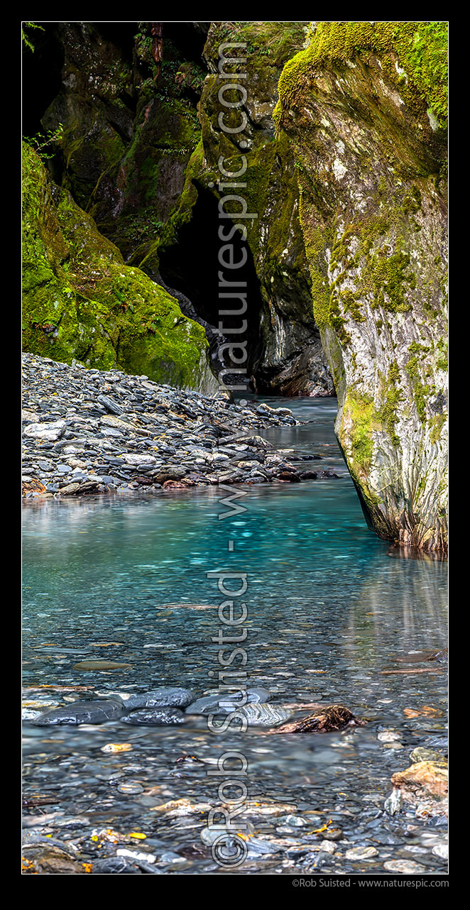 Image of Wilderness forest stream in a rocky gorge near Haast. Vertical panorama, South Westland, Westland District, West Coast Region, New Zealand (NZ) stock photo image