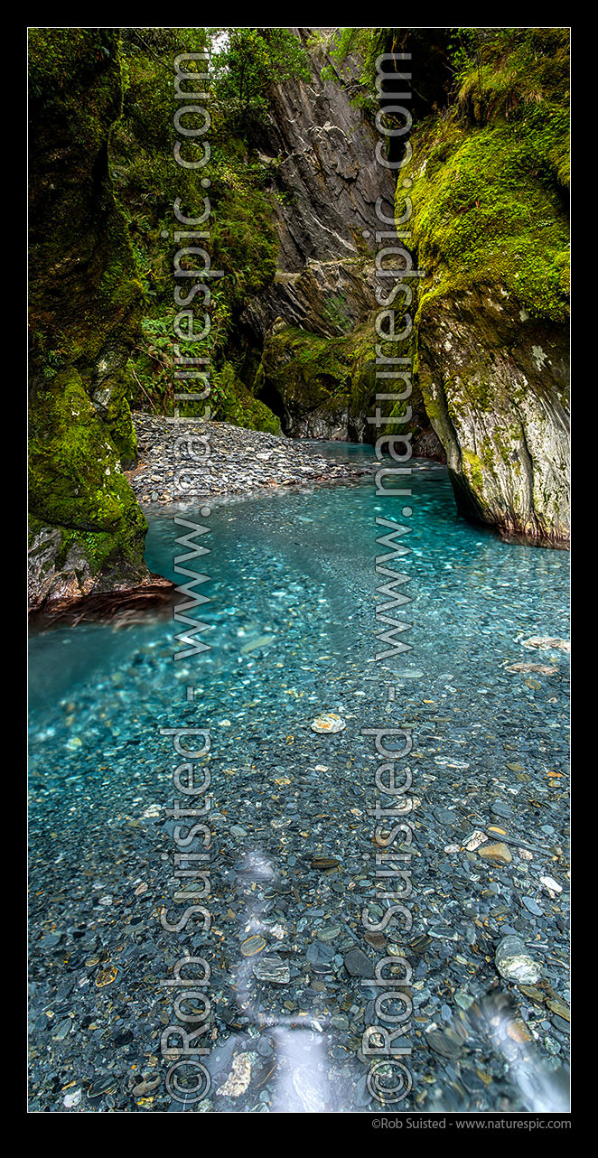 Image of Pure clean mountain stream and pools amongst rocky wilderness rainforest and bush. Haast. Veritcal panorama, South Westland, Westland District, West Coast Region, New Zealand (NZ) stock photo image