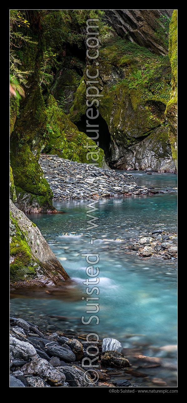 Image of Wilderness stream passing through rocky gorge in rainforest near Haast. Vertical panorama, South Westland, Westland District, West Coast Region, New Zealand (NZ) stock photo image