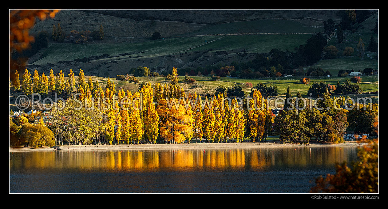 Image of Wanaka township, with last rays of sun bathing the Lake Wanaka foreshore in golden light. Autumn coloured trees lining waterfront. Panorama, Wanaka, Queenstown Lakes District, Otago Region, New Zealand (NZ) stock photo image