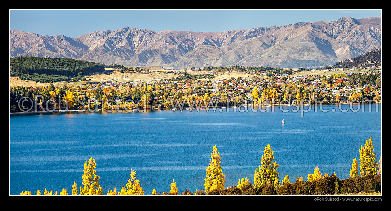 Image of Lake Wanaka and Wanaka township. Looking across Roys Bay, with sailing boat. Autumn golden colours. Panorama, Wanaka, Queenstown Lakes District, Otago Region, New Zealand (NZ) stock photo image