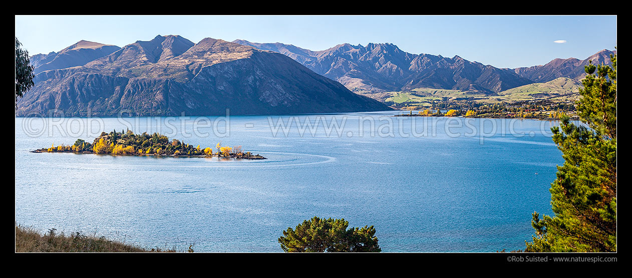 Image of Lake Wanaka during autumn. Ruby Island in front of The Peninsula, and Mt Gold (1304m). Autumn colour panorama, Wanaka, Queenstown Lakes District, Otago Region, New Zealand (NZ) stock photo image