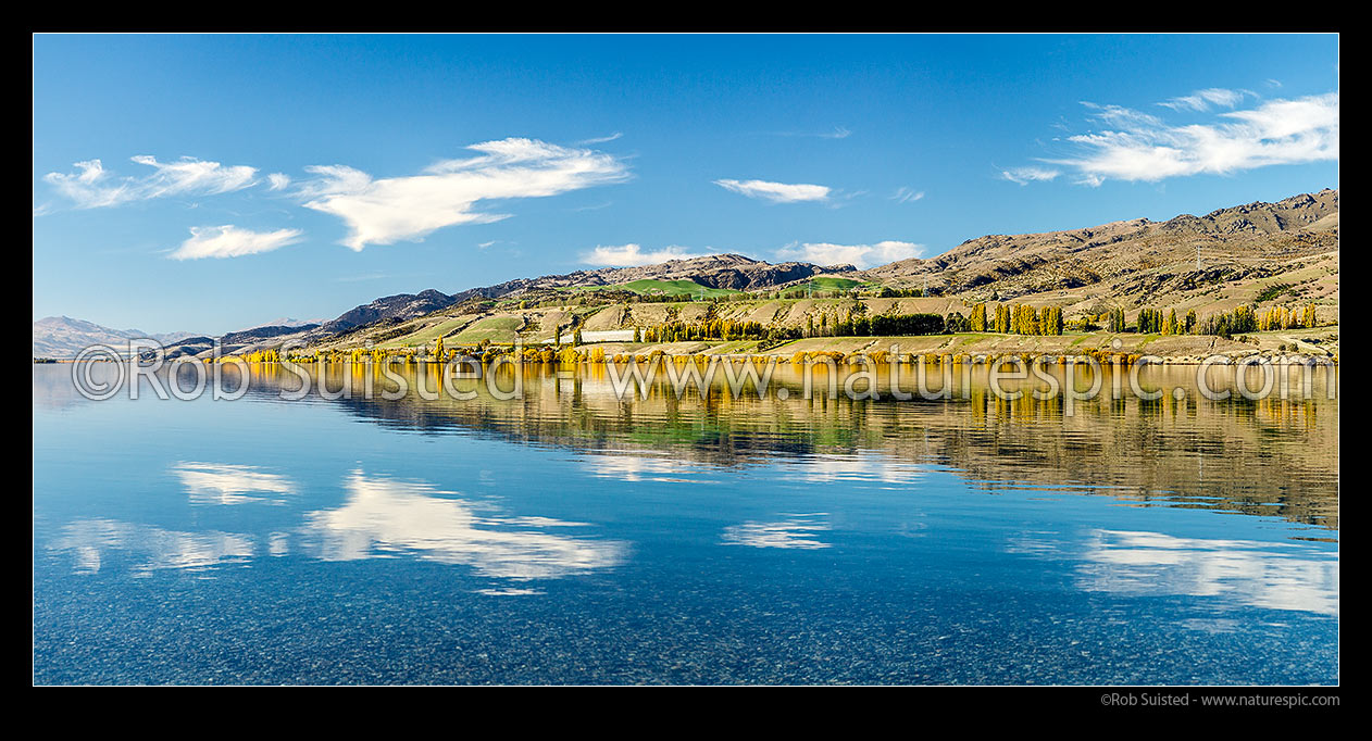 Image of Lake Dunstan reflecting Northburn, the Dunstan Mountains and autumn colours in calm water. Panorama, Wanaka, Queenstown Lakes District, Otago Region, New Zealand (NZ) stock photo image