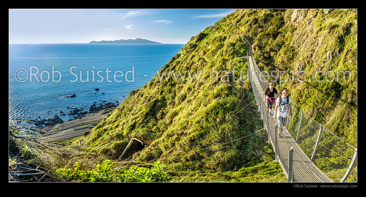 Image of Walkers on Paekakariki Escarpment Track swingbridge, a walking track linking Pukera Bay to Paekakariki. Kapiti Island in distance. Panorama, Pukerua Bay, Kapiti Coast District, Wellington Region, New Zealand (NZ) stock photo image