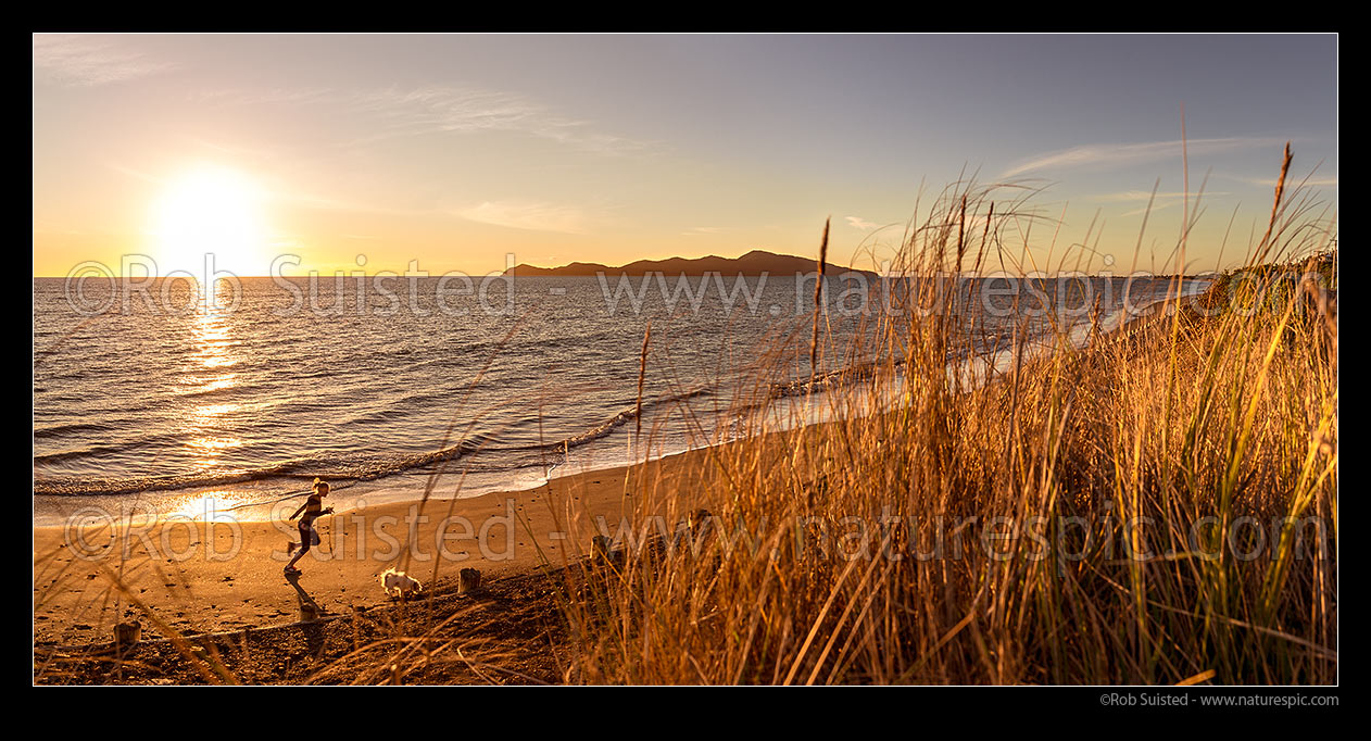 Image of Paekakariki's Whareroa Beach and Kapiti Island at sunset, with woman running dog on beach. Panorama, Paekakariki, Kapiti Coast District, Wellington Region, New Zealand (NZ) stock photo image