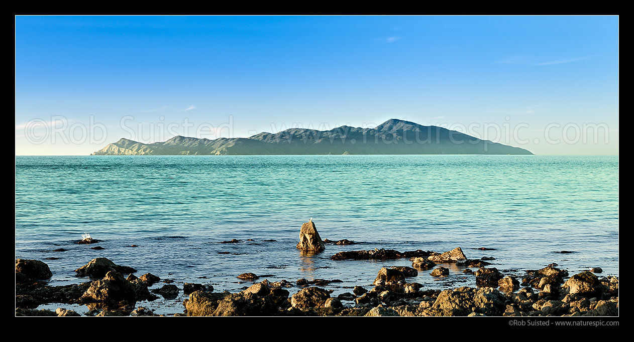 Image of Kapiti Island offshore of Pukerua Bay (high point is Tuteremoana 521m). Rauoterangi Channel (Otaheke Strait), Pukerua Bay, Porirua City District, Wellington Region, New Zealand (NZ) stock photo image