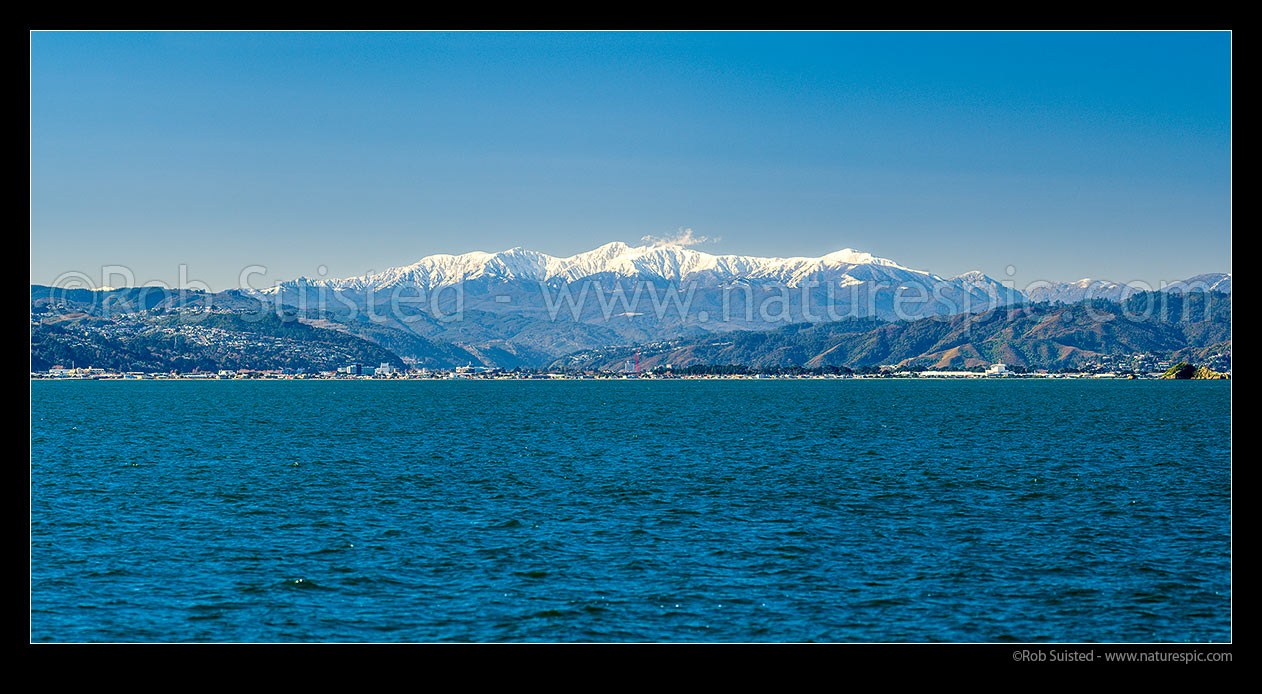 Image of Snow clad Tararua Ranges high above the Hutt Valley and Petone beach and foreshore. Mt Hector (1529m) highest point on southern main range. Panorama, Hutt Valley, Hutt City District, Wellington Region, New Zealand (NZ) stock photo image