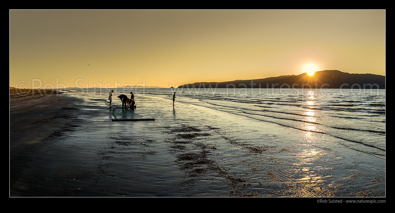 Image of Sun setting behind Kapiti Island as a family checks their drag net for fish, on Paraparaumu Beach. Panorama, Paraparaumu, Kapiti Coast District, Wellington Region, New Zealand (NZ) stock photo image