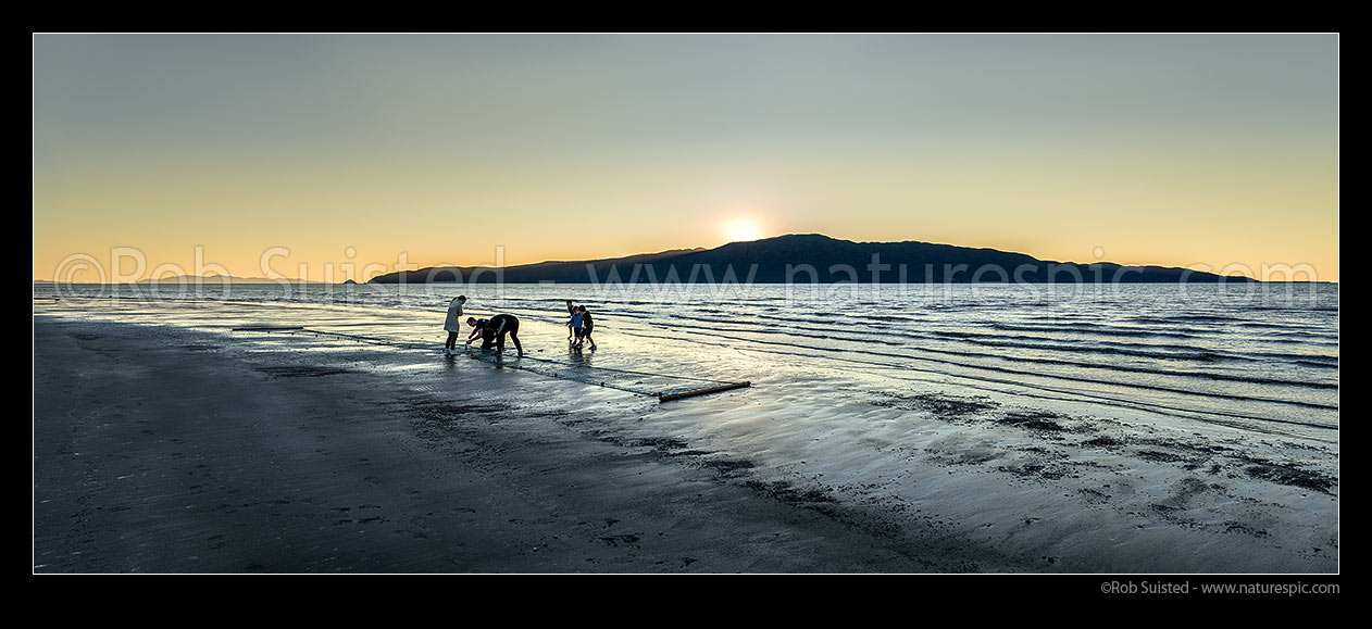 Image of Family checking their fishing net for fish, as the sun sets behind Kapiti Island Nature Reserve. Panorama, Paraparaumu, Kapiti Coast District, Wellington Region, New Zealand (NZ) stock photo image