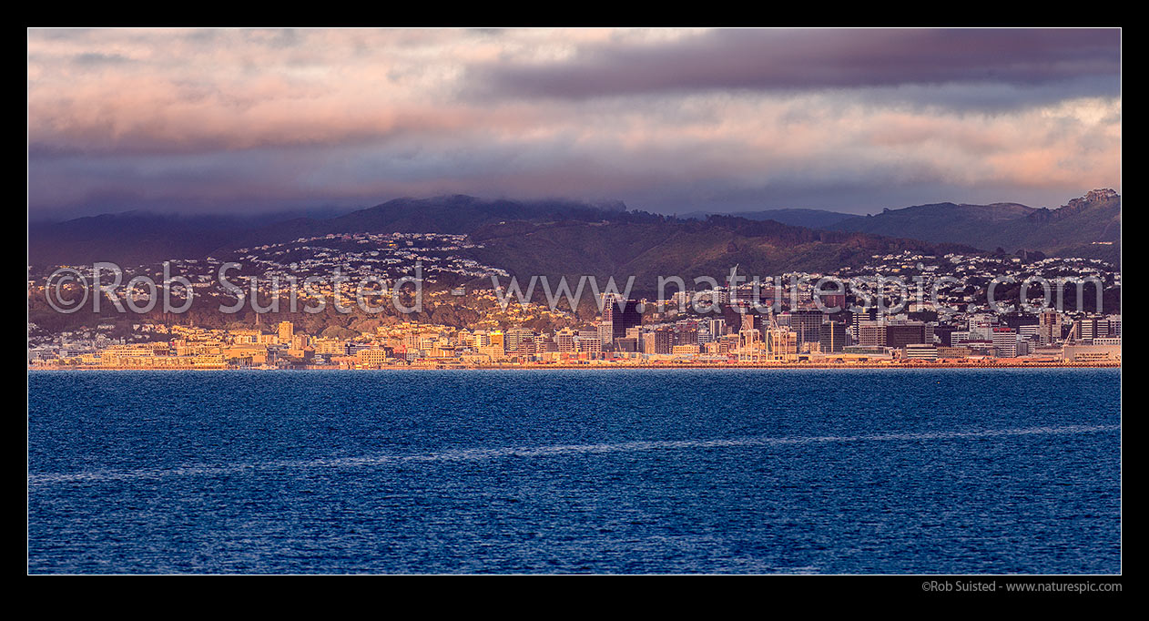 Image of Wellington City panorama seen from across Wellington Harbour from Petone with long lens. CBD centre and port at right, Wellington, Wellington City District, Wellington Region, New Zealand (NZ) stock photo image