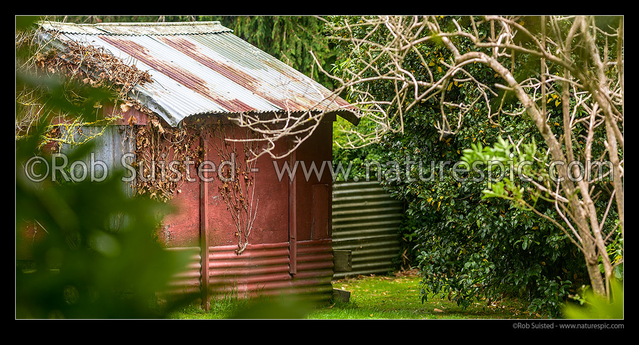 Image of Garden shed amongst an established backyard garden. Panorama, New Zealand (NZ) stock photo image