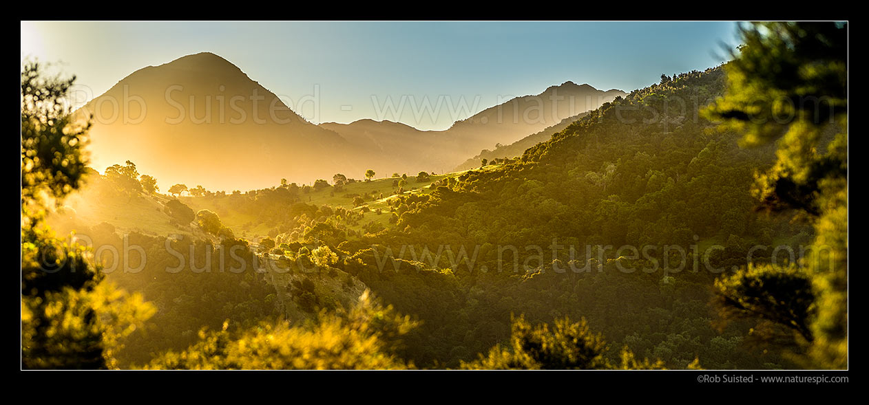 Image of Late evening golden sun, on farmland and hills. Panorama, Hundalee, Kaikoura District, Canterbury Region, New Zealand (NZ) stock photo image