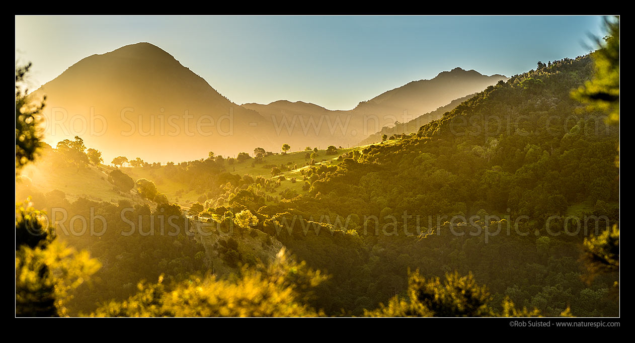 Image of Late evening golden sun, on farmland and hills. Panorama, Hundalee, Kaikoura District, Canterbury Region, New Zealand (NZ) stock photo image