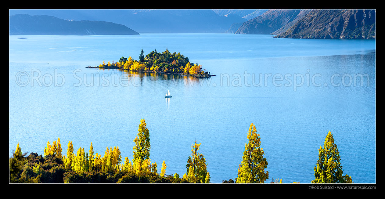 Image of Lake Wanaka panorama with sailboat passing Ruby Island in autumn colours, Wanaka, Queenstown Lakes District, Otago Region, New Zealand (NZ) stock photo image