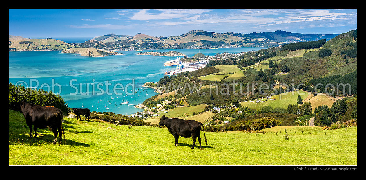 Image of Farmland above Port Chalmers and Otago Harbour. Otago Peninsula and Quarantine Island beyond. Panorama, Port Chalmers, Dunedin City District, Otago Region, New Zealand (NZ) stock photo image