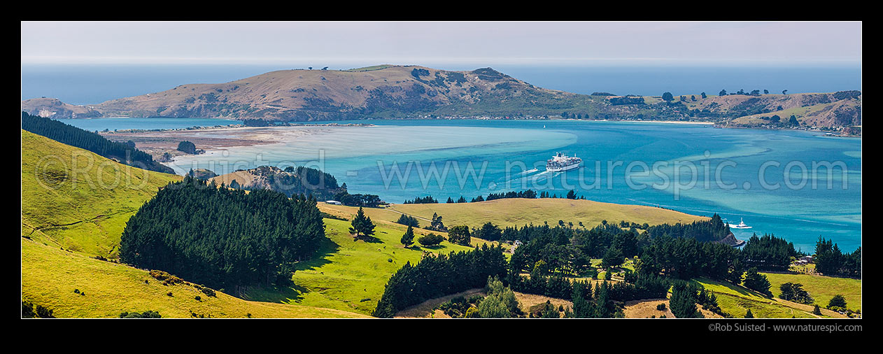 Image of Otago Harbour with large container ship leaving Port Chalmers. Otago Peninsula beyond, with Taiaroa Head and Aramoana far left. Panorama, Port Chalmers, Dunedin City District, Otago Region, New Zealand (NZ) stock photo image