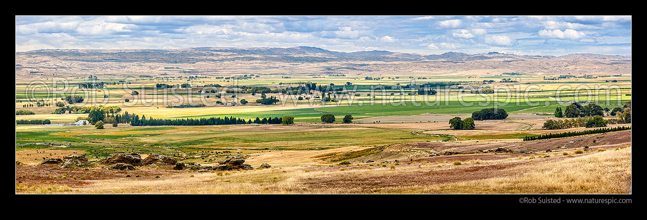 Image of Ida Valley (Ida Burn) showing irrigation greening the valley farmland for dairy farming. Rough Ridge Range beyond. Panorama, Poolburn, Central Otago District, Otago Region, New Zealand (NZ) stock photo image