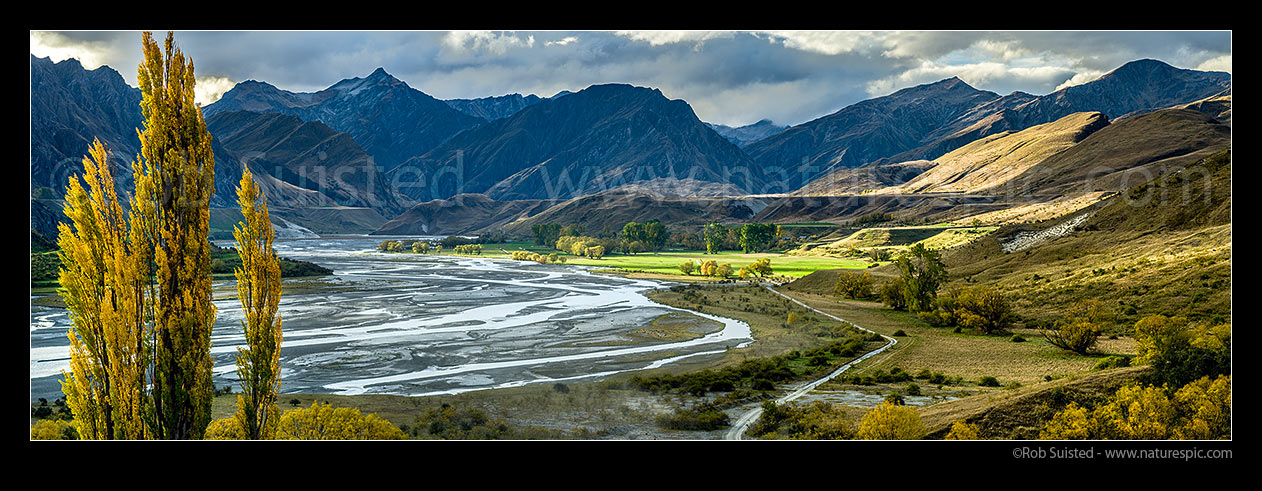 Image of Shotover River and The Branches Station flats lit by sunlight with autumn coloured trees. Mt Greenland (1906m) at left. Panorama, Branches Station, Shotover Valley, Queenstown Lakes District, Otago Region, New Zealand (NZ) stock photo image