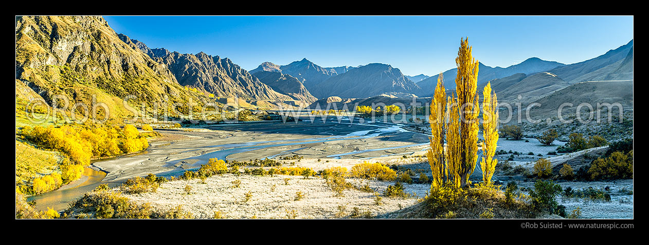 Image of Upper Shotover River valley and The Branches Station on a frosty autumn morning. Golden coloured trees. Panorama, Branches Station, Shotover Valley, Queenstown Lakes District, Otago Region, New Zealand (NZ) stock photo image