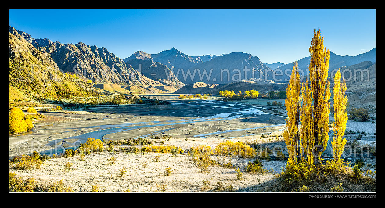 Image of Upper Shotover River valley and The Branches Station on a frosty autumn morning. Golden coloured trees. Panorama, Branches Station, Shotover Valley, Queenstown Lakes District, Otago Region, New Zealand (NZ) stock photo image