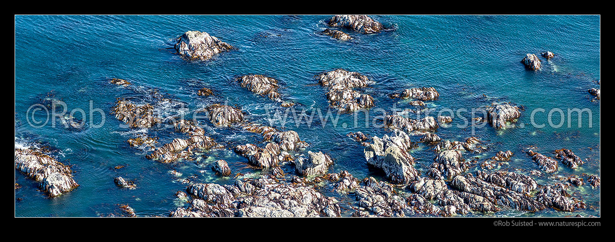 Image of Earthquake uplifted reef at Ward beach. Dying brown kelp and encrusting algae visible well above new tide level. Kaikoura m7.8 eqnz. Panorama, Ward, Marlborough District, Marlborough Region, New Zealand (NZ) stock photo image