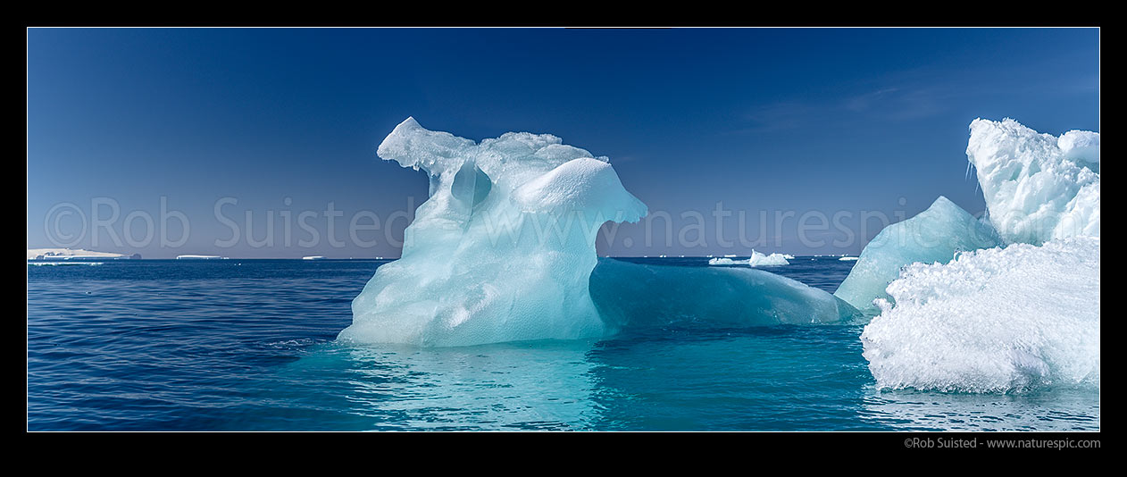 Image of Blue or clear iceberg floating in Terra Nova Bay. Panorama, Ross Sea, Antarctica Region, Antarctica stock photo image