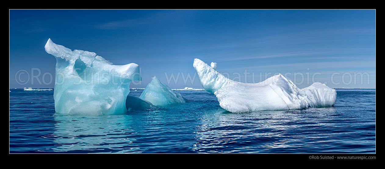 Image of Blue or clear iceberg floating in Terra Nova Bay. Panorama, Ross Sea, Antarctica Region, Antarctica stock photo image