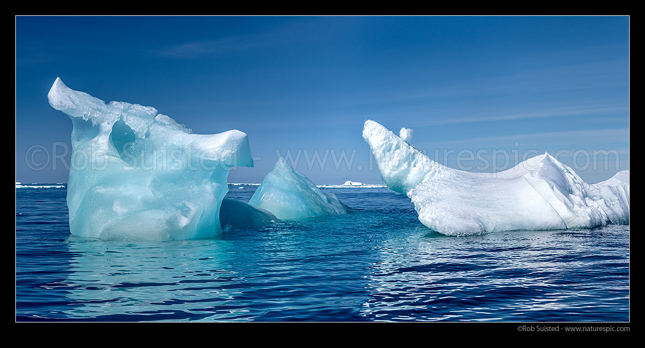 Image of Blue or clear iceberg floating in Terra Nova Bay. Panorama, Ross Sea, Antarctica Region, Antarctica stock photo image