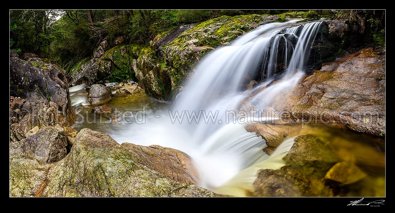 Image of Water cascading from a side stream into the Inangahua River, amongst beech forest and rocky gorge. Lush rainforest waterfalls. Panorama, Victoria Forest Park, Buller District, West Coast Region, New Zealand (NZ) stock photo image