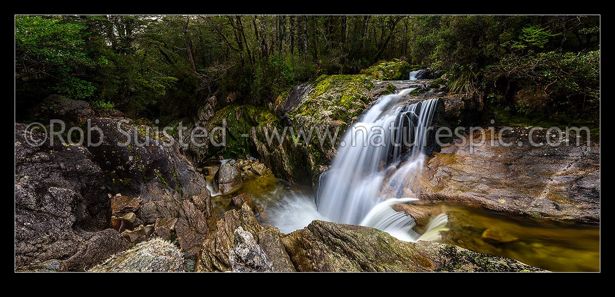 Image of Water cascading from a side stream into the Inangahua River, amongst beech forest and rocky gorge. Lush rainforest waterfalls. Panorama, Victoria Forest Park, New Zealand (NZ) stock photo image