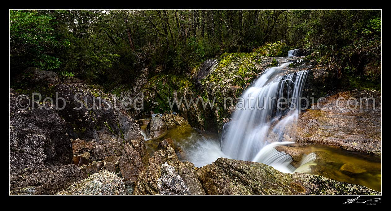 Image of Water cascading from a side stream into the Inangahua River, amongst beech forest and rocky gorge. Lush rainforest waterfalls. Panorama, Victoria Forest Park, New Zealand (NZ) stock photo image