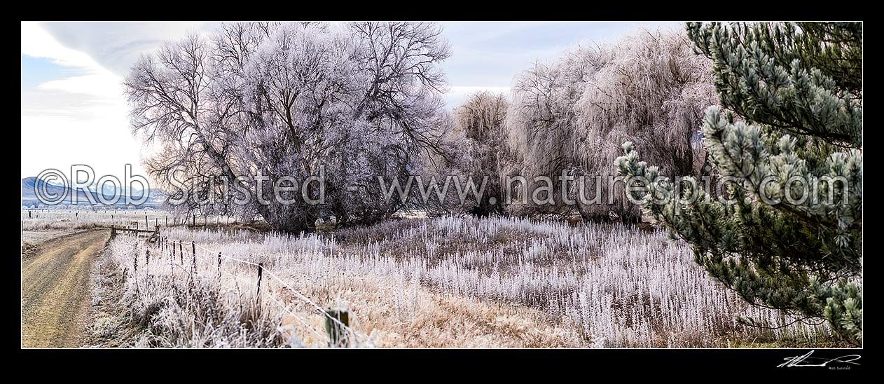 Image of Heavy frost, or hoar frost, amongst Ahuriri riverflats, trees, and farmland near Omarama. McKenzie Basin beyond at left. Panorama, Omarama, Waitaki District, Canterbury Region, New Zealand (NZ) stock photo image