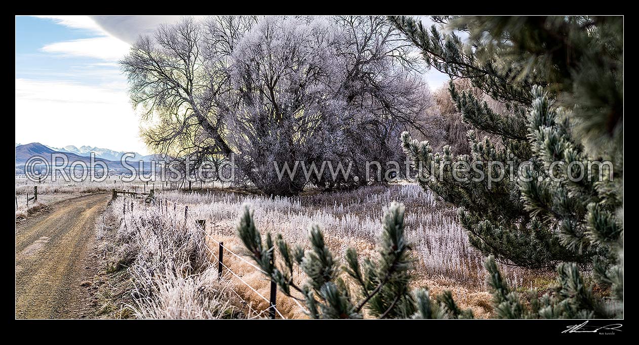 Image of Heavy frost, or hoar frost, amongst Ahuriri riverflats, trees, and farmland near Omarama. McKenzie Basin beyond at left. Panorama, Omarama, Waitaki District, Canterbury Region, New Zealand (NZ) stock photo image