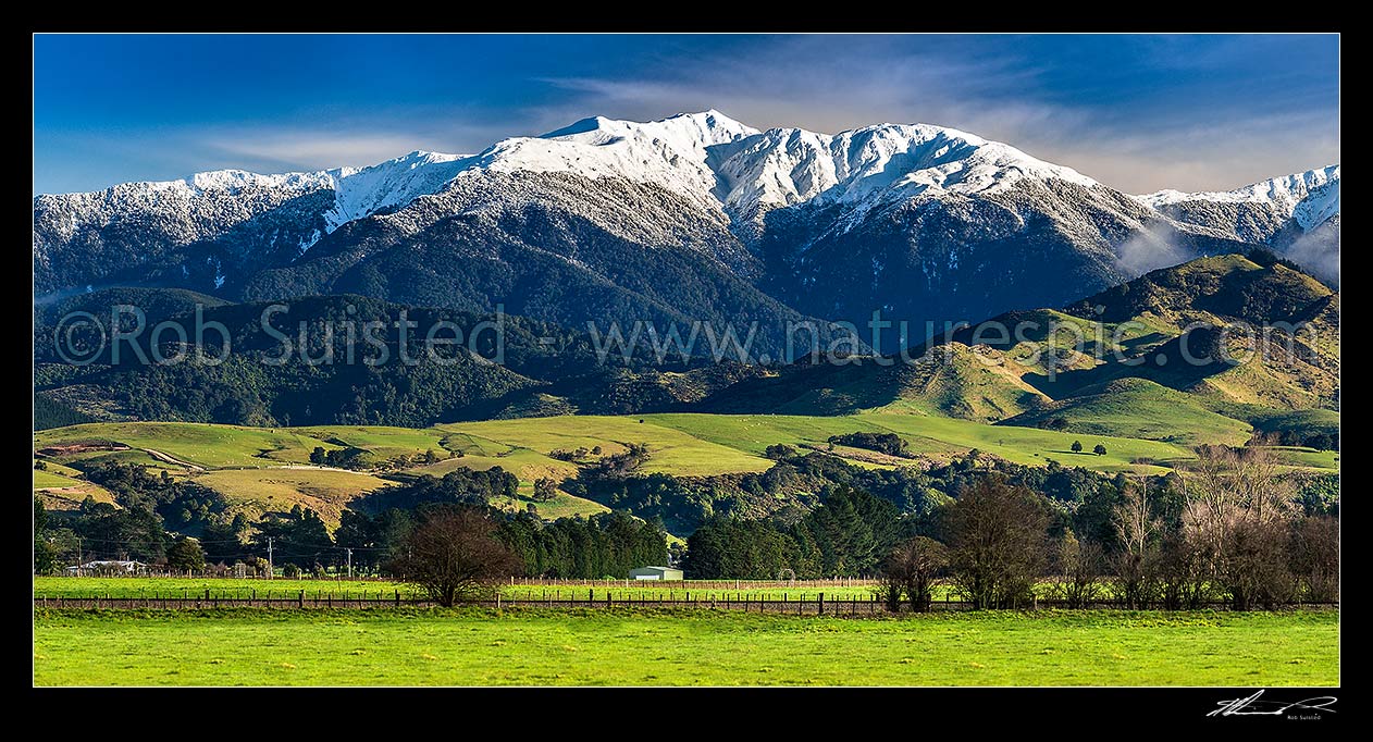 Image of Tararua Ranges above lush Wairarapa farmland near Masterton. Mt Holdsworth (1470m) above, covered in fresh winter snowfall above. Panorama, Waingawa, Carterton District, Wellington Region, New Zealand (NZ) stock photo image