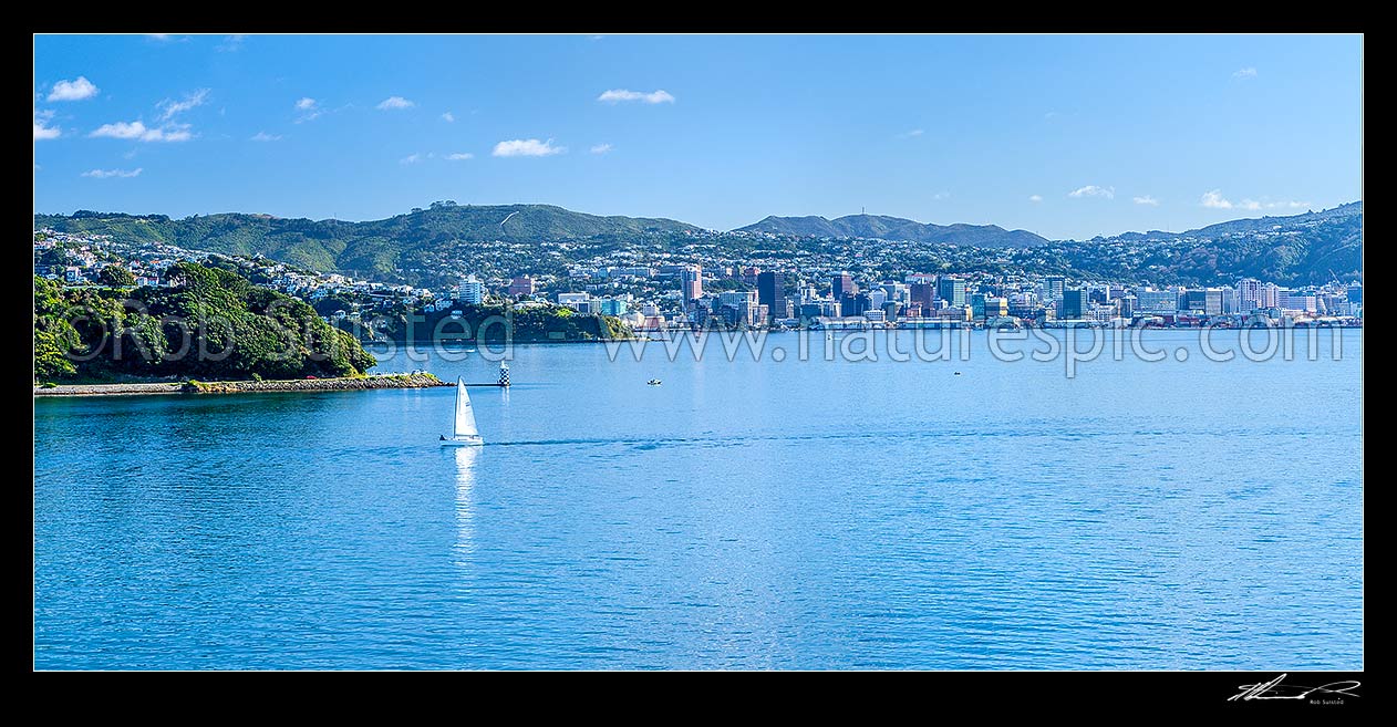 Image of Wellington Harbour and CBD. Yachts, sailboats and small boats out on a sunny autumn day. Point Halswell light at left. Panorama, Wellington, Wellington City District, Wellington Region, New Zealand (NZ) stock photo image