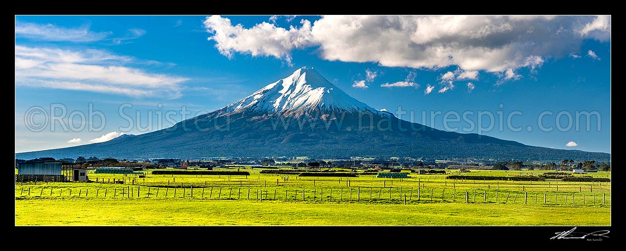 Image of Mt Taranaki (2518m) standing in the Egmont National Park, beyond dairy farmland. Panorama, Opunake, South Taranaki District, Taranaki Region, New Zealand (NZ) stock photo image