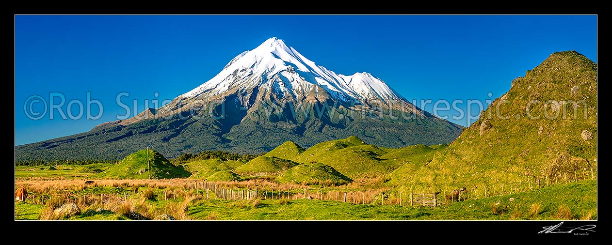 Image of Mt Taranaki (2518m), Fanthams Peak (1966m), and Egmont National Park, high above farmland with distinctive hillocks and mounds. Panorama, Rahotu, South Taranaki District, Taranaki Region, New Zealand (NZ) stock photo image