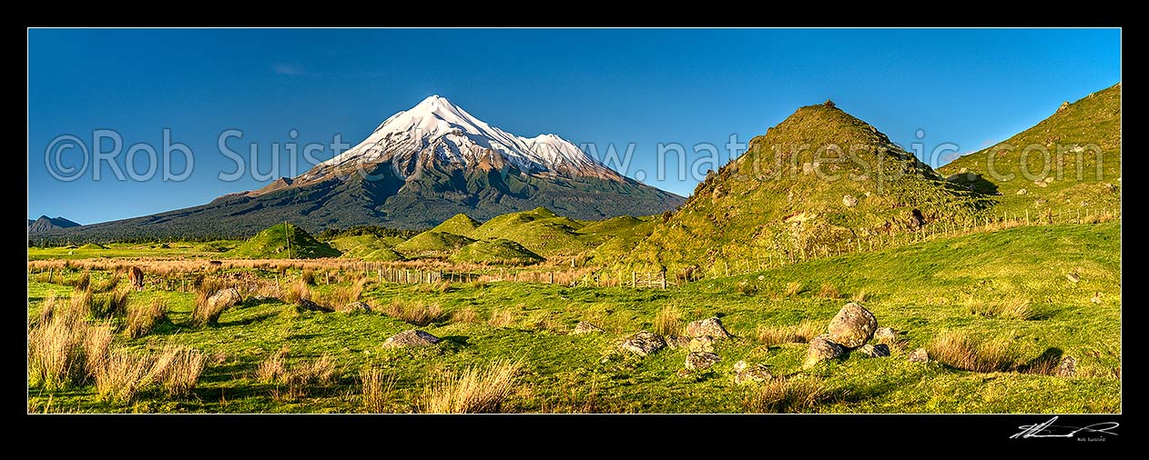 Image of Mt Taranaki (2518m), Fanthams Peak (1966m), and Egmont National Park, high above farmland with distinctive hillocks and mounds. Panorama, Rahotu, South Taranaki District, Taranaki Region, New Zealand (NZ) stock photo image