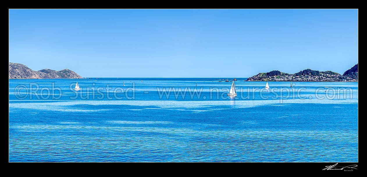 Image of Wellington Harbour entrance or harbour mouth, with Pencarrow Head lighthouses at left, Seatoun, Point Dorest and Barrett Reef right. Panorama with sailboats out on calm day, Wellington Harbour, Wellington City District, Wellington Region, New Zealand (NZ) stock photo image