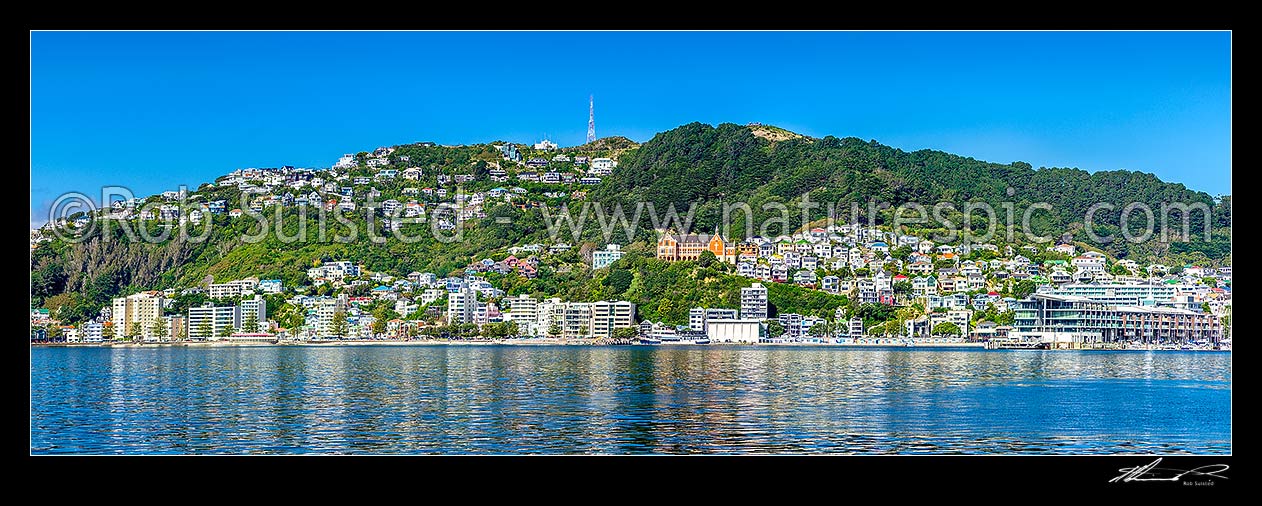 Image of Wellington City panorama of Oriental Bay and Mount Victoria. St Gerards Monastry centre right. Iconic view of well known Welligton suburb, Wellington Harbour, Wellington City District, Wellington Region, New Zealand (NZ) stock photo image