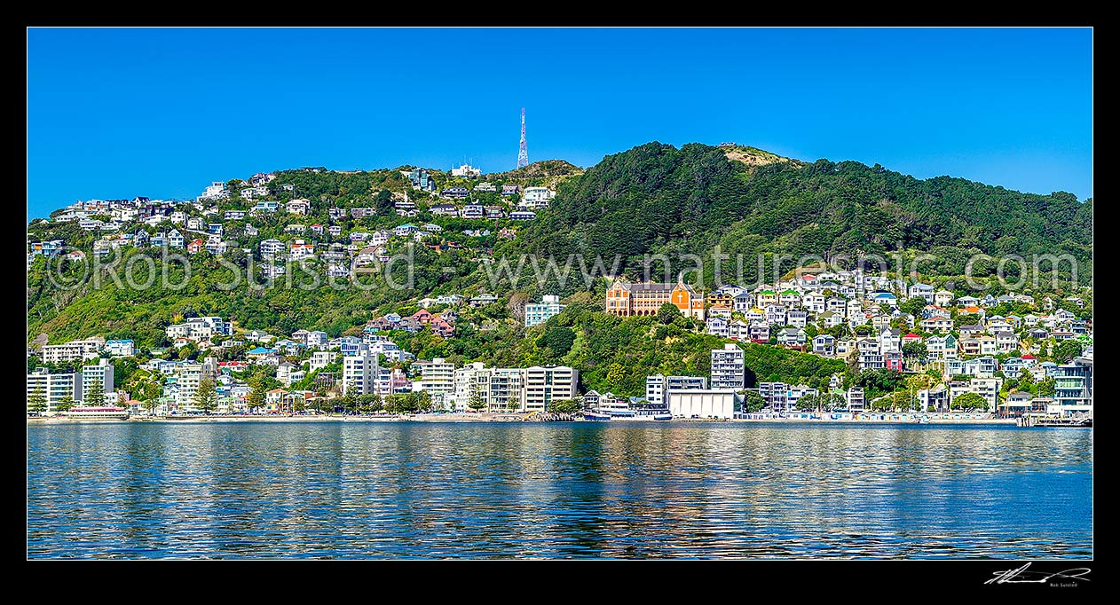 Image of Wellington City panorama of Oriental Bay, with villas perched on slopes of Mt Victoria. St Gerards Monastry centre right. Iconic view of well known Welligton suburb, Wellington Harbour, Wellington City District, Wellington Region, New Zealand (NZ) stock photo image