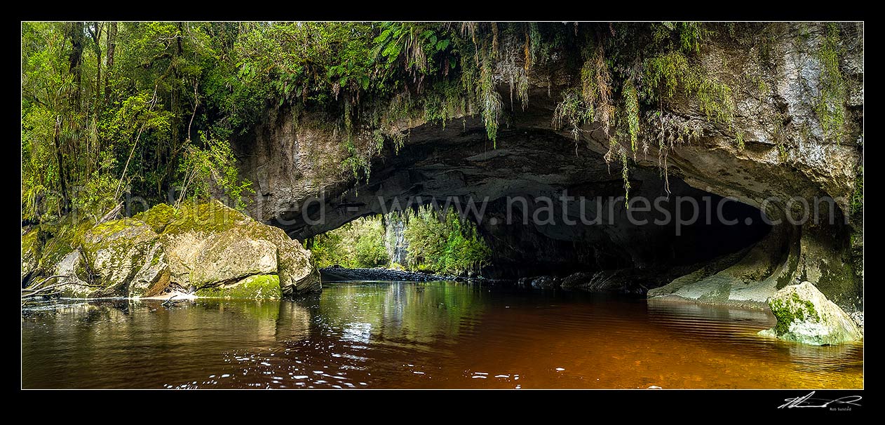 Image of Oparara Arch. The Oparara River entering the little Oparara arch (Moria Gate). Clean, dark, tanin stained water moving slowly under the limestone arch. Panorama, Karamea,Kahurangi National Park, Buller District, West Coast Region, New Zealand (NZ) stock photo image