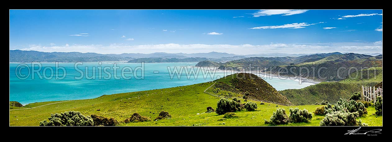 Image of Fitzroy Bay seen from East Harbour Regional Park. Wellington City behind. Pencarrow Head, Mt Kaukau, Miramar Peninsula and Lyall Bay obvious. Panorama, Baring Head, Hutt City District, Wellington Region, New Zealand (NZ) stock photo image