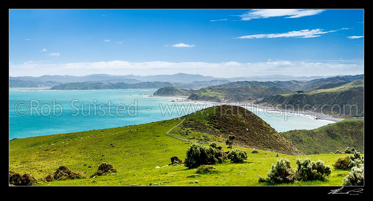 Image of Fitzroy Bay seen from East Harbour Regional Park. Wellington City behind. Pencarrow Head, Mt Kaukau, Miramar Peninsula and Lyall Bay obvious. Panorama, Baring Head, Hutt City District, Wellington Region, New Zealand (NZ) stock photo image