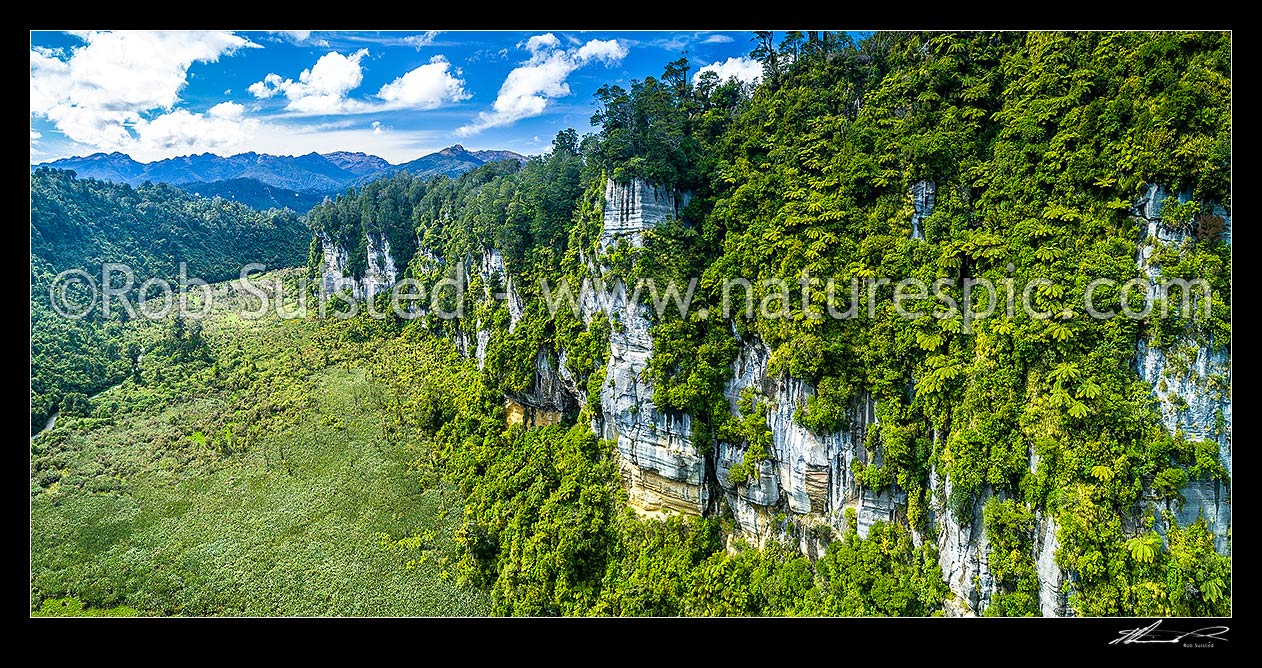 Image of Bullock Creek valley in Paparoa National Park, with high limetone cliffs, karst geology, and the Bullock Creek polje prominent. Aerial panorama, Paparoa National Park, Buller District, West Coast Region, New Zealand (NZ) stock photo image