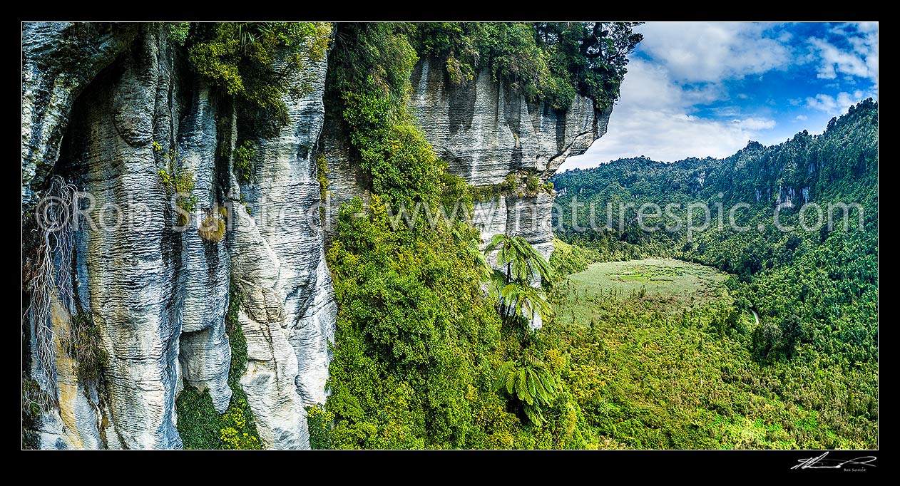 Image of Bullock Creek valley in Paparoa National Park, with high limetone cliffs, karst geology, and the Bullock Creek polje prominent. Aerial panorama, Paparoa National Park, Buller District, West Coast Region, New Zealand (NZ) stock photo image