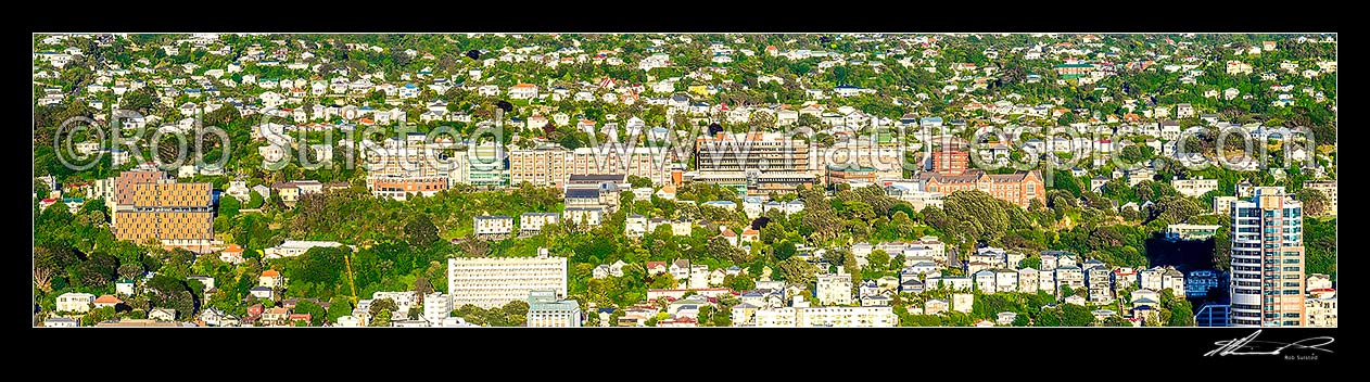 Image of Victoria University Campus in Kelburn sidling along the hill above Wellington. Panorama, Wellington, Wellington City District, Wellington Region, New Zealand (NZ) stock photo image