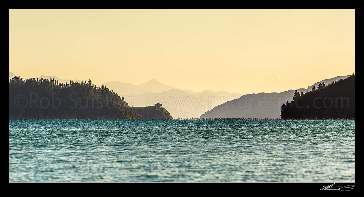 Image of Port Underwood, looking south towards Kaikoura Ranges and Ferny Gair (1670m) Peak beyond. Mussel farms prominent from Fata morgana effect. Panorama, Port Underwood, Marlborough District, Marlborough Region, New Zealand (NZ) stock photo image